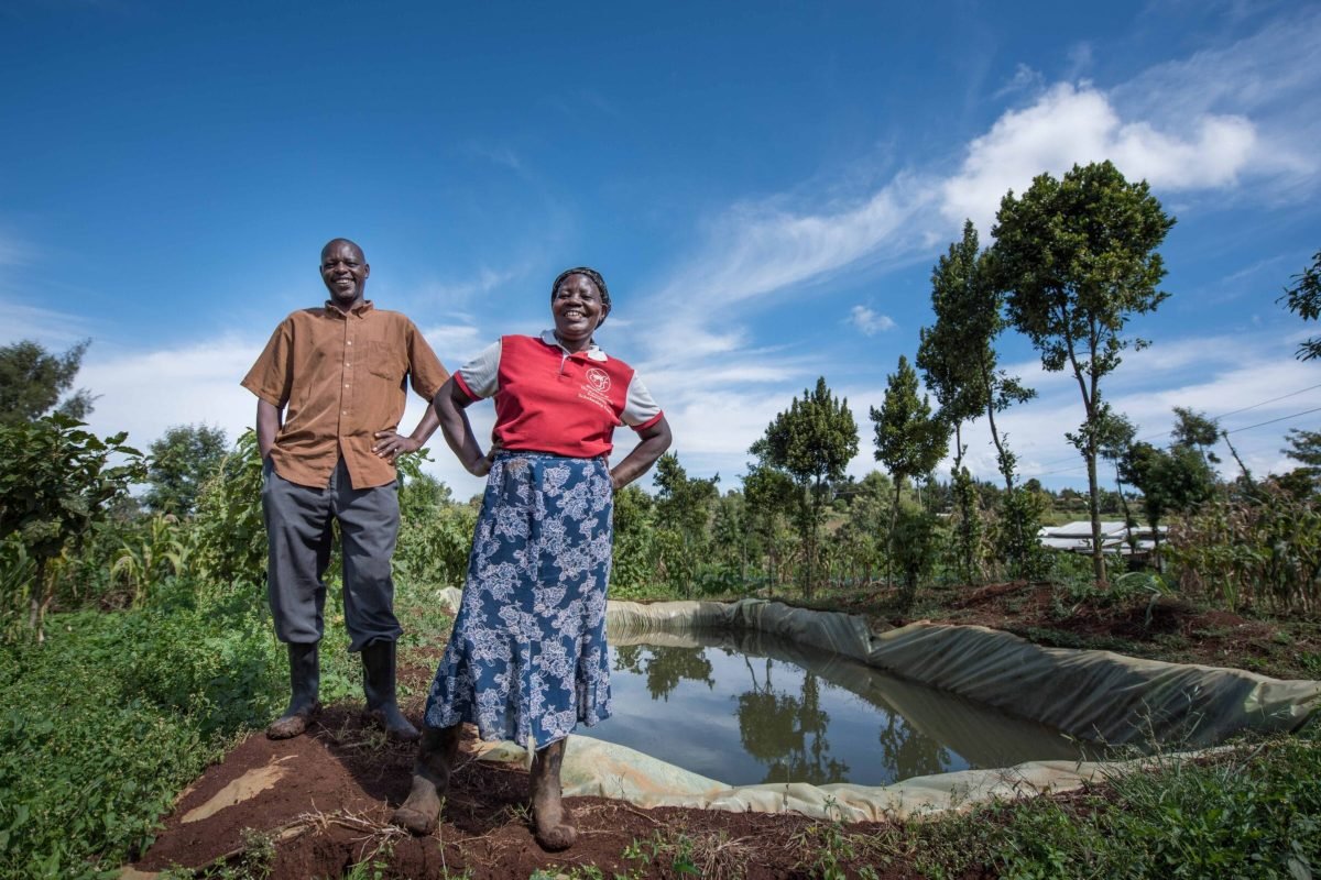 Anna and Joseph Gatheru's farm in the foothills of Mt. Kenya. They grow "food crops": beans, maize, vegetables. Joseph Gatheru was the first farmer in the area to have a water pan. Before the water pan, he could only grow and sell crops in the rainy season when everyone else could. So the price for his vegetables was very low. Now with the water pan they can grow and sell vegetables in the dry season and get a high price (cabbage, kale, courgette, beans, beetroot, potatoes, carrots, cucumber). Location: Kamahuri, Nyeri County.