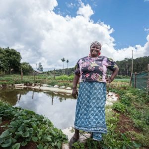 Elena Kinyua, an innovative farmer in the foothills of Mt. Kenya (in the background). Grows carrots, tree tomatoes, cabbage, avacado and has livestock. She has got a water pan from NWF. She’s put a bag of manure in the water, so that it creates algae that feeds fish, and enriches the water she puts on her plants.