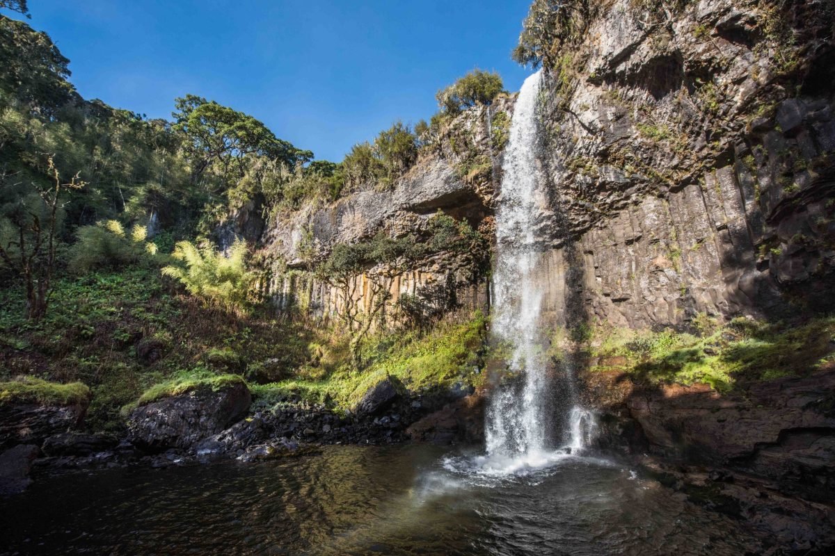 Chania waterfalls/river  in the Aberdare mountains feed into the Guru river which empties into the Sagana and ultimately feeds the Tana river.