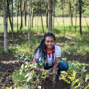 TNC Kenya's team planted approximately 2000 tree seedlings in a secondary school and three neighbouring farms in South Kinangop. Species planted were agroforestry and fruit trees as well as indigenous trees.

The NWF interns names are as follows:
Cyrus Shikhalo Kaitano
Florence Wanjiku Mugi
Magdalene Wangechi Wang’ondu
Janelisper Waithira Kariuki
John Ng’ang’a Gathagu.