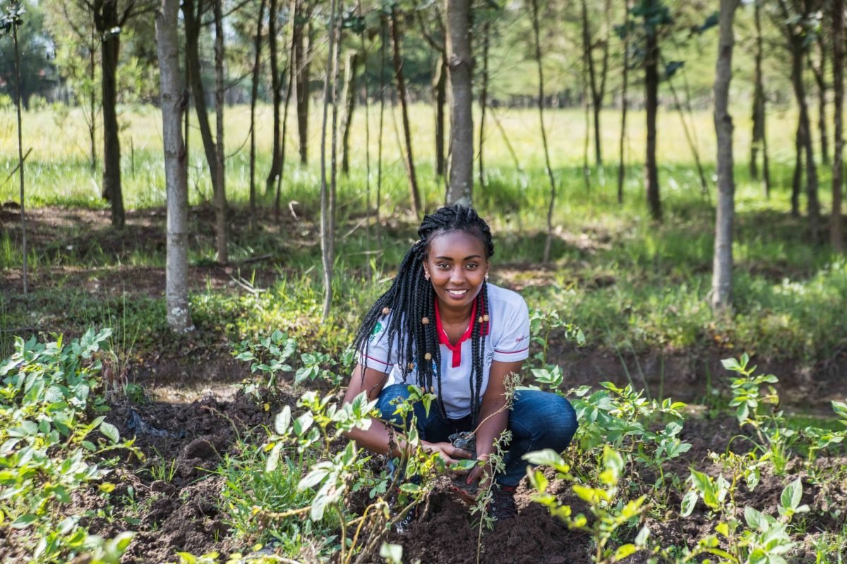 TNC Kenya's team planted approximately 2000 tree seedlings in a secondary school and three neighbouring farms in South Kinangop. Species planted were agroforestry and fruit trees as well as indigenous trees.

The NWF interns names are as follows:
Cyrus Shikhalo Kaitano
Florence Wanjiku Mugi
Magdalene Wangechi Wang’ondu
Janelisper Waithira Kariuki
John Ng’ang’a Gathagu.